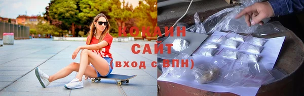 сатива Аркадак