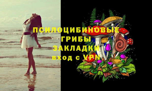 сатива Аркадак